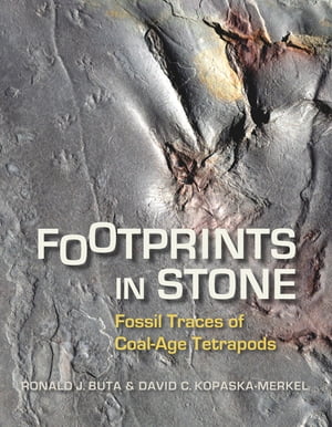 Footprints in Stone