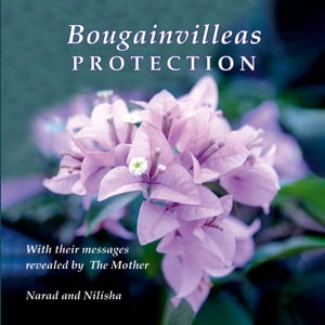 Bougainvilleas PROTECTION