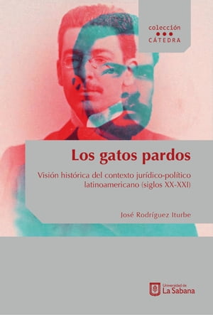 Los gatos pardos Visi?n hist?rica del contexto jur?dico-pol?tico latinoamericano (siglos XX- XXI)