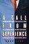 A Call from Experience: Wisdom on Investment, Career and Life from Dr. C. Terrence Dolan, the Most Successful Trailblazer Youve Never Heard AboutŻҽҡ[ Rory Link ]