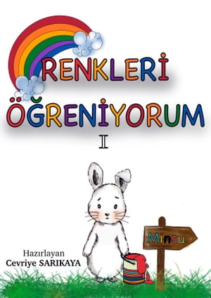 RENKLERİ ÖĞRENİYORUM 1