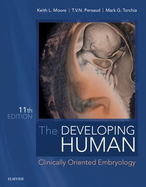 The Developing Human