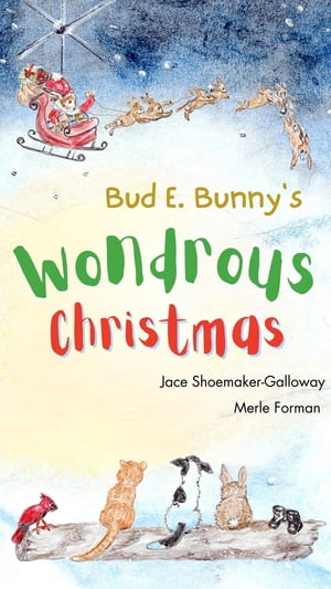 Bud E. Bunny's Wondrous Christmas