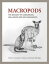 Macropods