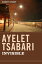 Invisible Short StoryŻҽҡ[ Ayelet Tsabari ]