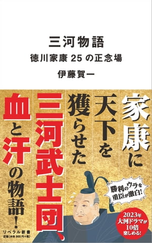 三河物語 徳川家康25の正念場