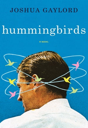 Hummingbirds A Novel