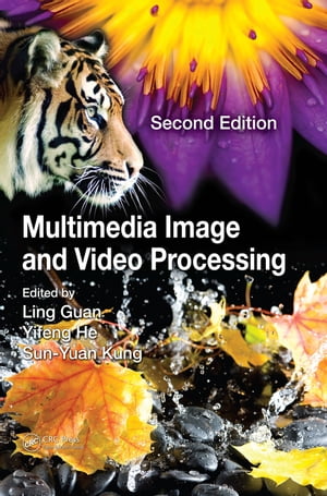 Multimedia Image and Video Processing