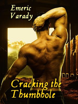 ŷKoboŻҽҥȥ㤨Cracking the Thumbhole Confessions of a Recorder PlayerŻҽҡ[ Emeric Varady ]פβǤʤ80ߤˤʤޤ