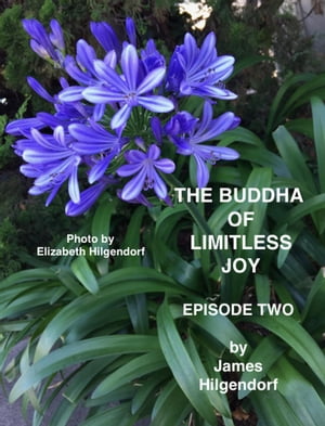 The Buddha of Limitless Joy: Episode Two