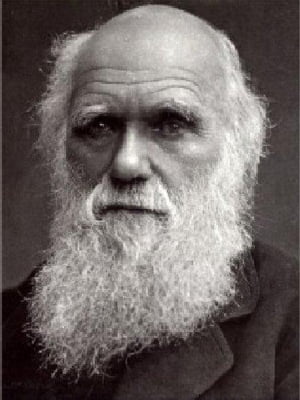 The Origin of Species by Natural Selection, 6th editionŻҽҡ[ Charles Darwin ]