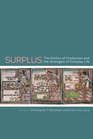 Surplus The Politics of Production and the Strategies of Everyday Life【電子書籍】