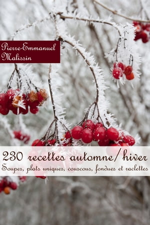 230 recettes automne/hiver (Soupes, plats unique