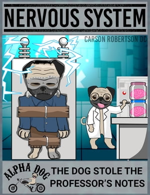 Nervous System: The Dog Stole the Professor's Notes