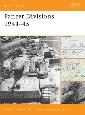 Panzer Divisions 1944?45