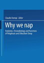 Why We Nap Evolution, Chronobiology, and Functions of Polyphasic and Ultrashort Sleep【電子書籍】 STAMPI