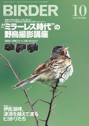 BIRDER2020年10月号