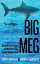 Big Meg