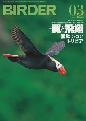 BIRDER2021年3月号