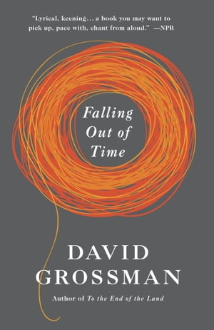 Falling Out of Time【電子書籍】[ David Grossman ]