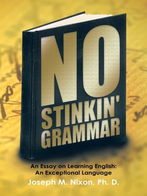 No Stinkin' Grammar An Essay on Learning English