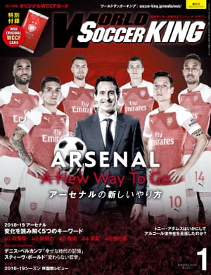 ワールドサッカーキング2019年 1月号