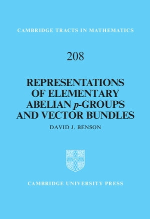 Representations of Elementary Abelian p-Groups and Vector Bundles