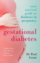 Gestational Diabetes Your Survival Guide To Diabetes In Pregnancy