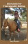 Exercises for Therapeutic Riding