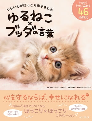 つらい心がほっこり癒やされる ゆるねこ×ブッダの言葉