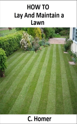 How to lay and maintain a lawn