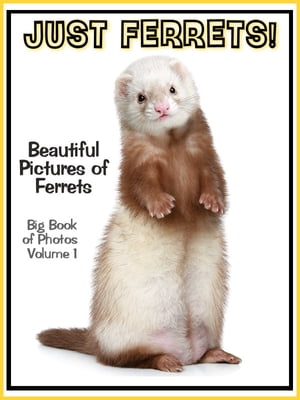 Just Ferret Photos! Big Book of Ferret Photographs & Adorable Pictures, Vol. 1