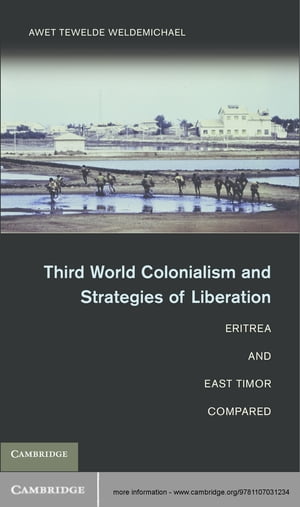 Third World Colonialism and Strategies of Liberation