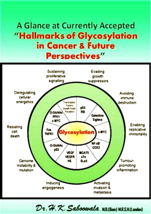 A Glance at Currently Accepted “Hallmarks of glycosylation in cancer & Future Perspectives”.