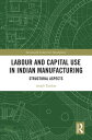 Labour and Capital Use in Indian Manufacturing Structural Aspects【電子書籍】[ Anjali ...