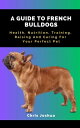 A GUIDE TO FRENCH BULLDOGS Health, Nutrition, Training, Raising And Caring For Y...