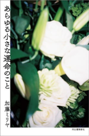 加藤ミリヤ