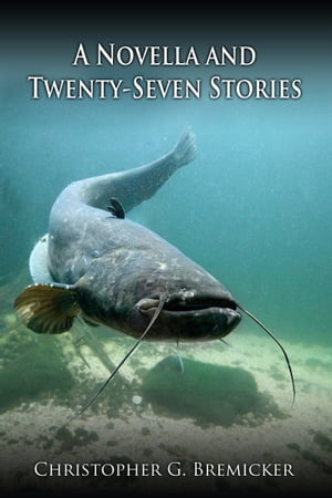 A Novella and Twenty-Seven Stories