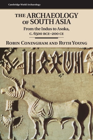 The Archaeology of South Asia