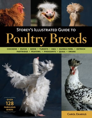 Storey 039 s Illustrated Guide to Poultry Breeds Chickens, Ducks, Geese, Turkeys, Emus, Guinea Fowl, Ostriches, Partridges, Peafowl, Pheasants, Quails, Swans【電子書籍】 Carol Ekarius