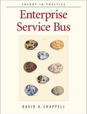 Enterprise Service Bus