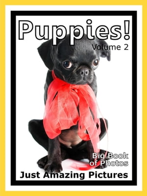 Just Puppy Photos! Big Book of Photographs & Pictures of Baby Dogs & Dog Puppies, Vol. 2