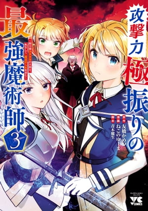 攻撃力極振りの最強魔術師～筋力値9999の大剣士、転生して二度目の人生を歩む～　３