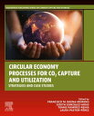 Circular Economy Processes for CO2 Capture and Utilization Strategies and Case S...