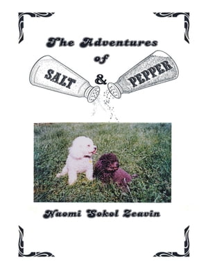 The Adventures of Salt & Pepper