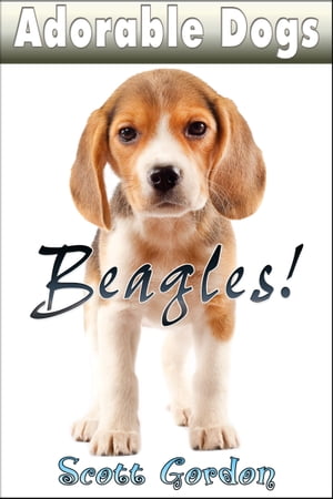 Adorable Dogs: Beagles!Żҽҡ[ Scott Gordon ]