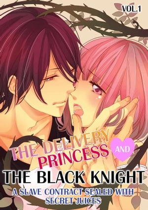 The Delivery Princess and the Black Knight Vol.1 (TL Manga)