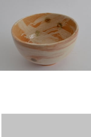 ŷKoboŻҽҥȥ㤨ֺҡǤƻŻҽҡ[  ]פβǤʤ100ߤˤʤޤ