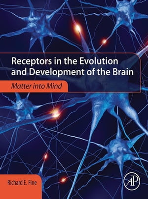 Receptors in the Evolution and Development of th