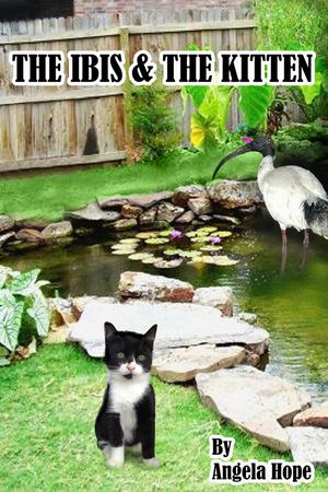 The Ibis & the Kitten